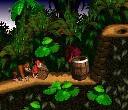 Donkey Kong Country